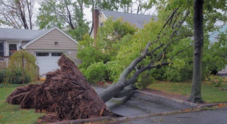 Storm Damage Claims in VA