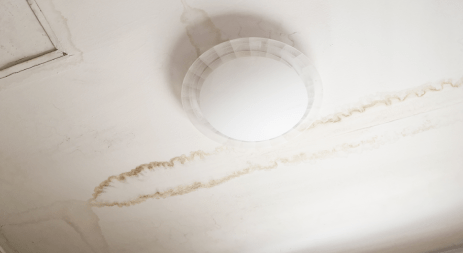 Mold Damage Claims in Akron, OH