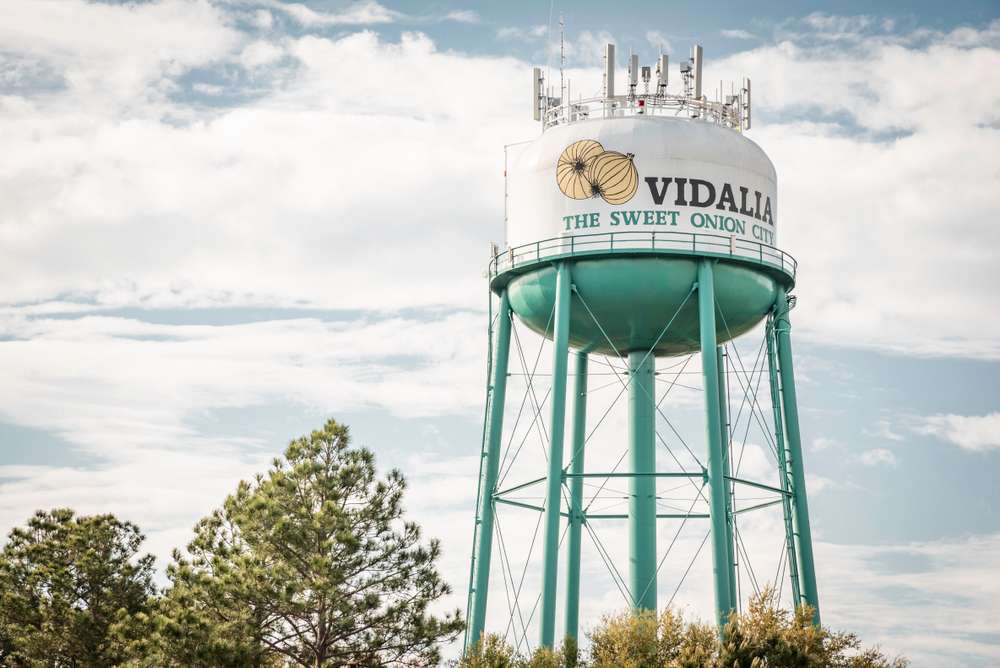Banner for Vidalia, Georgia