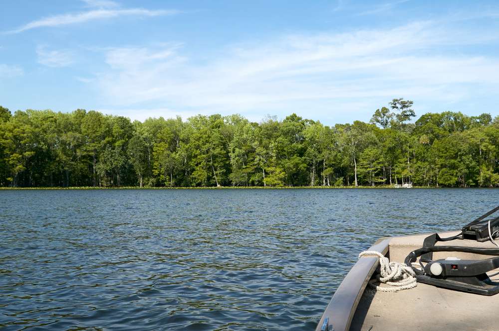 public insurance adjuster suwanee georgia