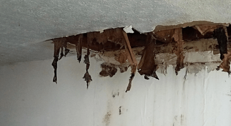 Water Damage Claims in NC
